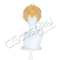 画像1: Free!　葉月渚　コスプレウィッグ　コスプレ衣装 (1)